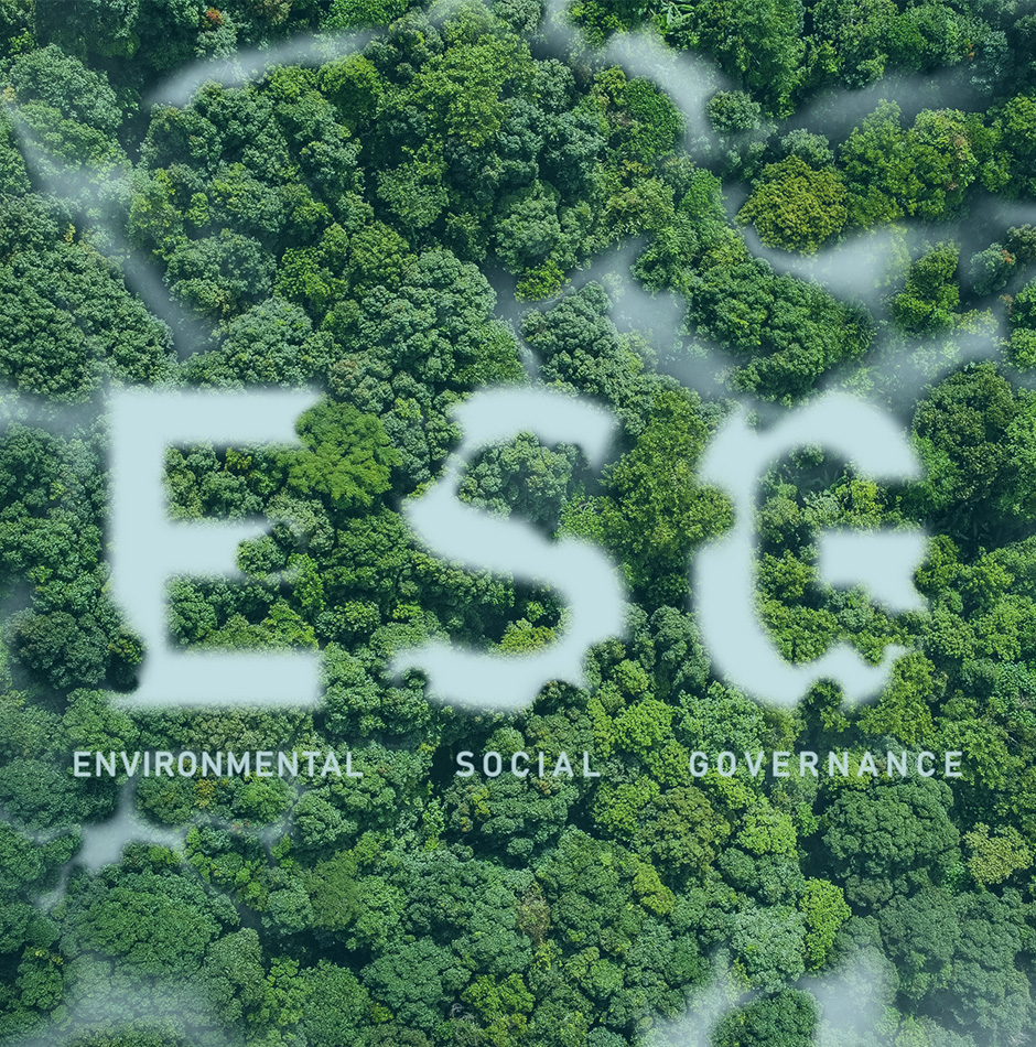 storm energy risk and compliance